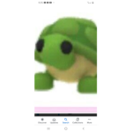 Adop me show