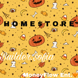MoneyFlow ENT. homestore