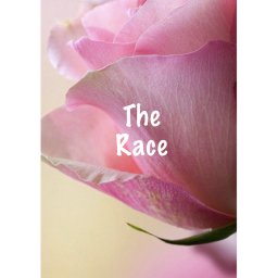 The Race