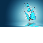 BlueButterflyArmy