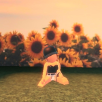 capir_plays