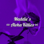 Maddie’s Alohas Kitties