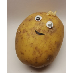 Potato Game