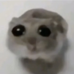 HamsterStudios