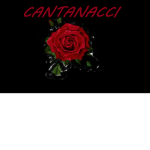 The Cantanacci Bloodline