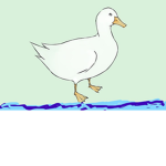 Quick Duck Studios