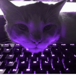 xxruan77