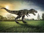 Tyrannosaurus Nation