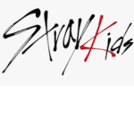 Stray kids official fan group(: