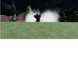 CAPTURE THE FLAG