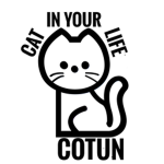 CatOverTheUniverse