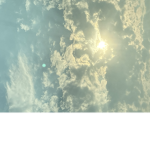 |P H 0 E N 1 X|
