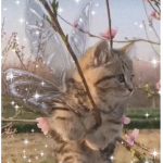 ~ pretty kitty ~