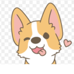 Hello corgi