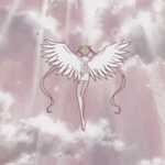 - Soaring Angels -