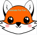 Animals for fun :)