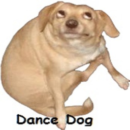disco dogs