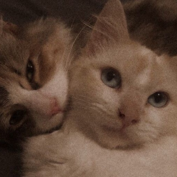 ❀