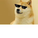 !The Meme Army!