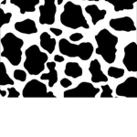 Black and white Black and white