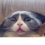 BBobuxIME_RB
