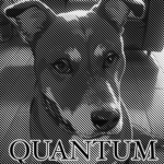 『Quantum Productions』