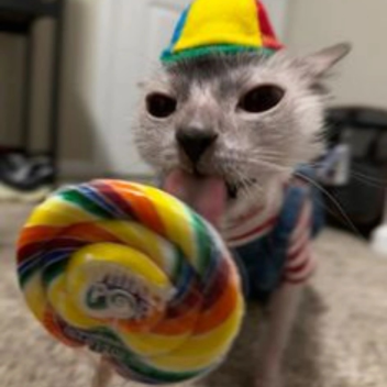 There's something here