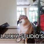 L.U.X.Y STUDIO'S