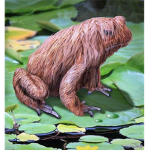hairy frog