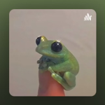 Da tadpoles