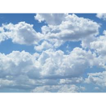Cloudy Services