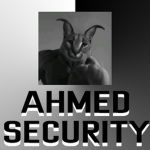 Ahmed Security