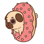 Donut Designs