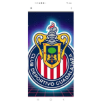 Club deportivo Guadalajara chivas