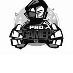 (PRO TEAM)