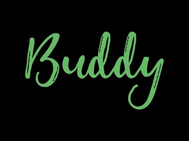 Capture buddy’s flag 