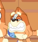 The dumpling kids