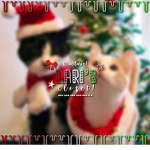 -lari’s closet!-