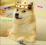 king doge milltary