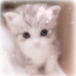 ฅ^•ﻌ•^ฅ