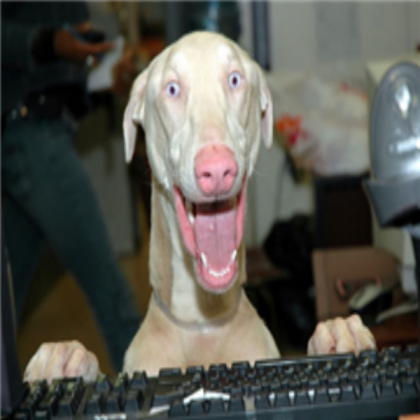 dog Roblox decal