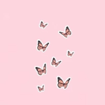 CupidButterflies