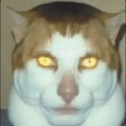 Life or Death Obby!