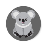 Mr Koalas squad