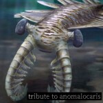 tribute to anomalocaris