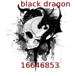 black dragon Clothings