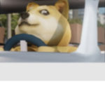 Sup dog big team