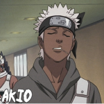 akio's revenge