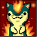the FireFox