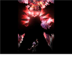 distortion masters